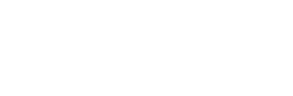 3WS